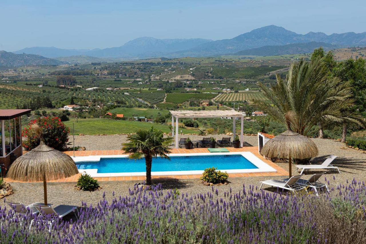 Apartament Feliz Andaluz